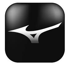 Mizuno