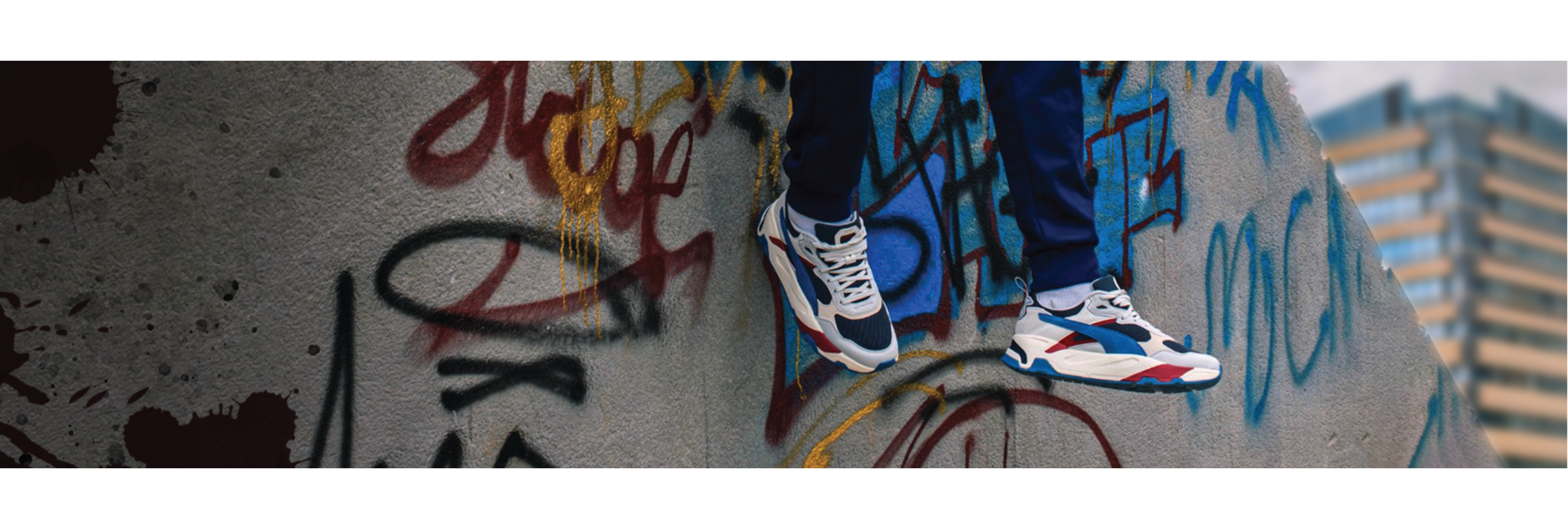 intro-banner