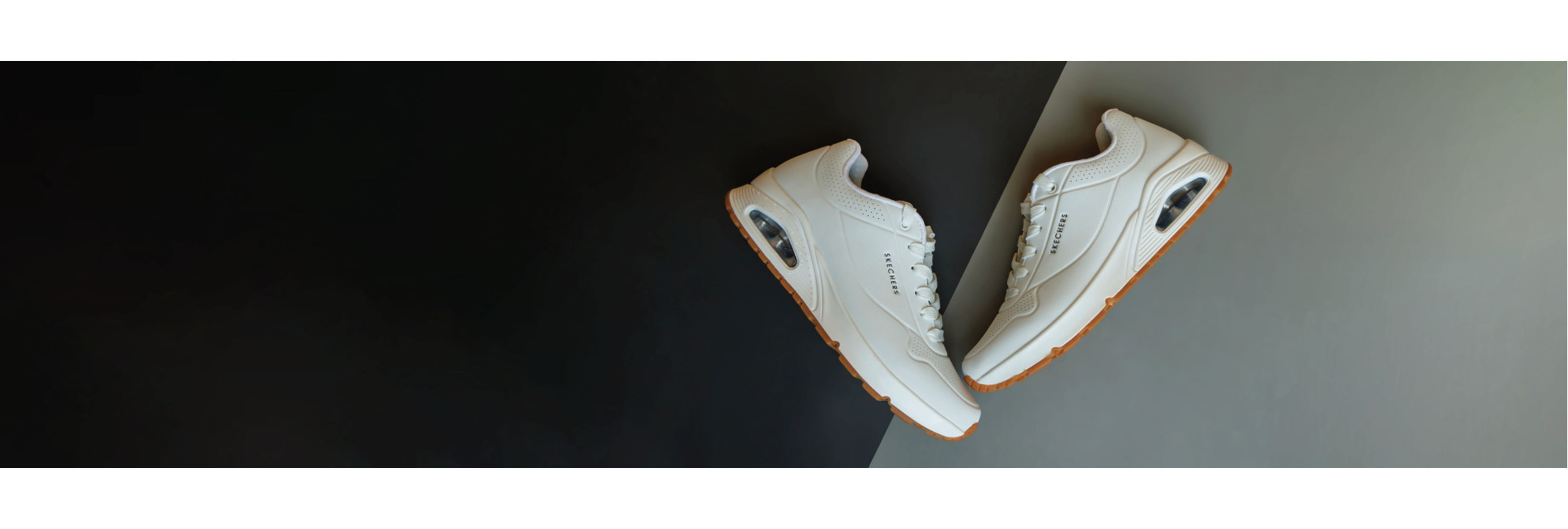 intro-banner