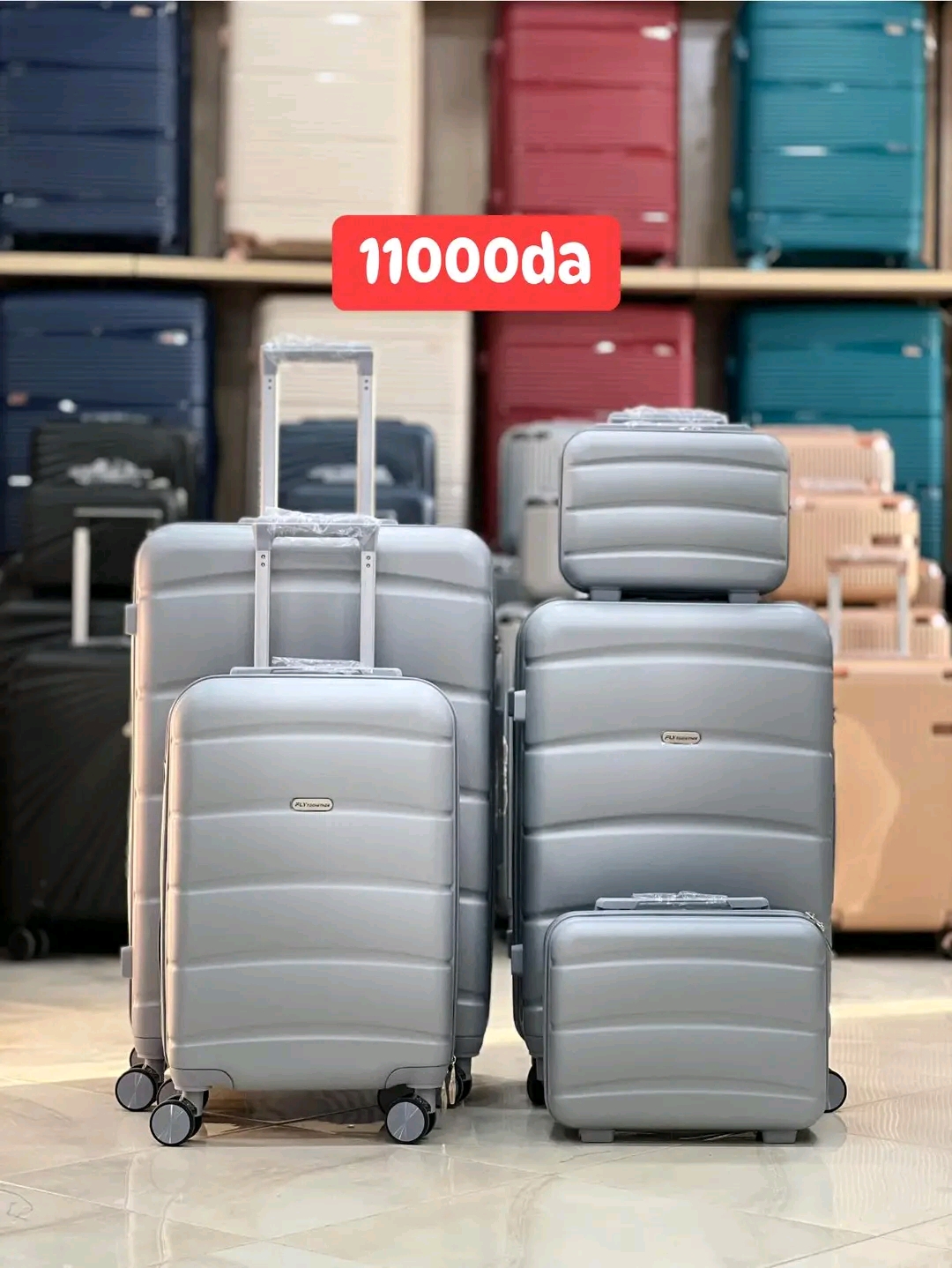 Valises 5 pièce