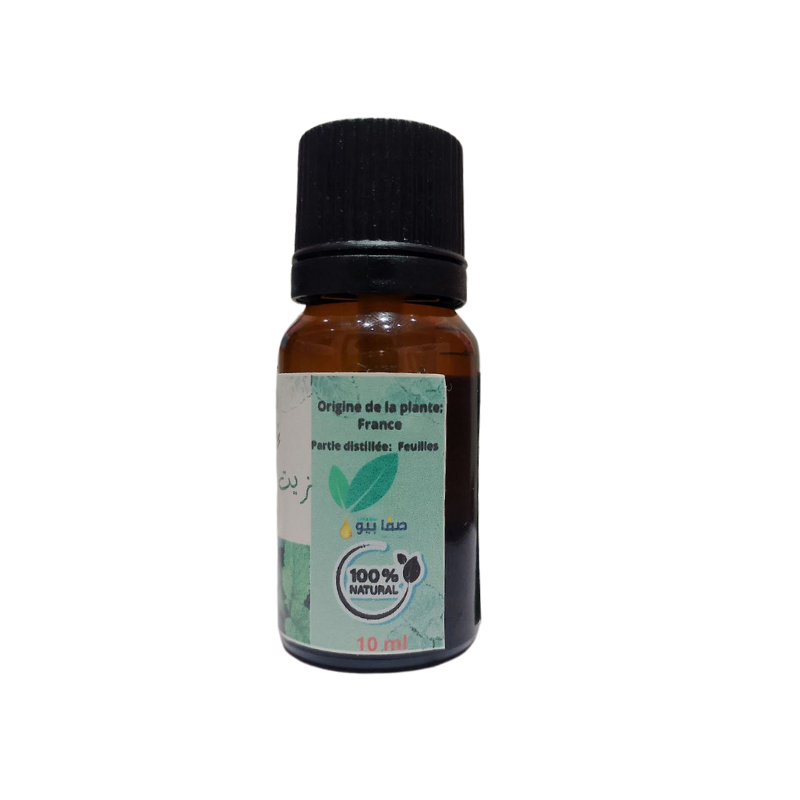 Huile Essentielle de Menthe Verte Pure et 100% naturel(10ml)