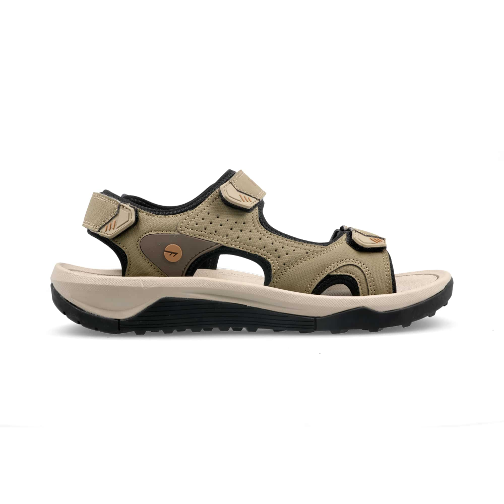 Atlas Adventure Sea Turtle-Apple Cinnamon