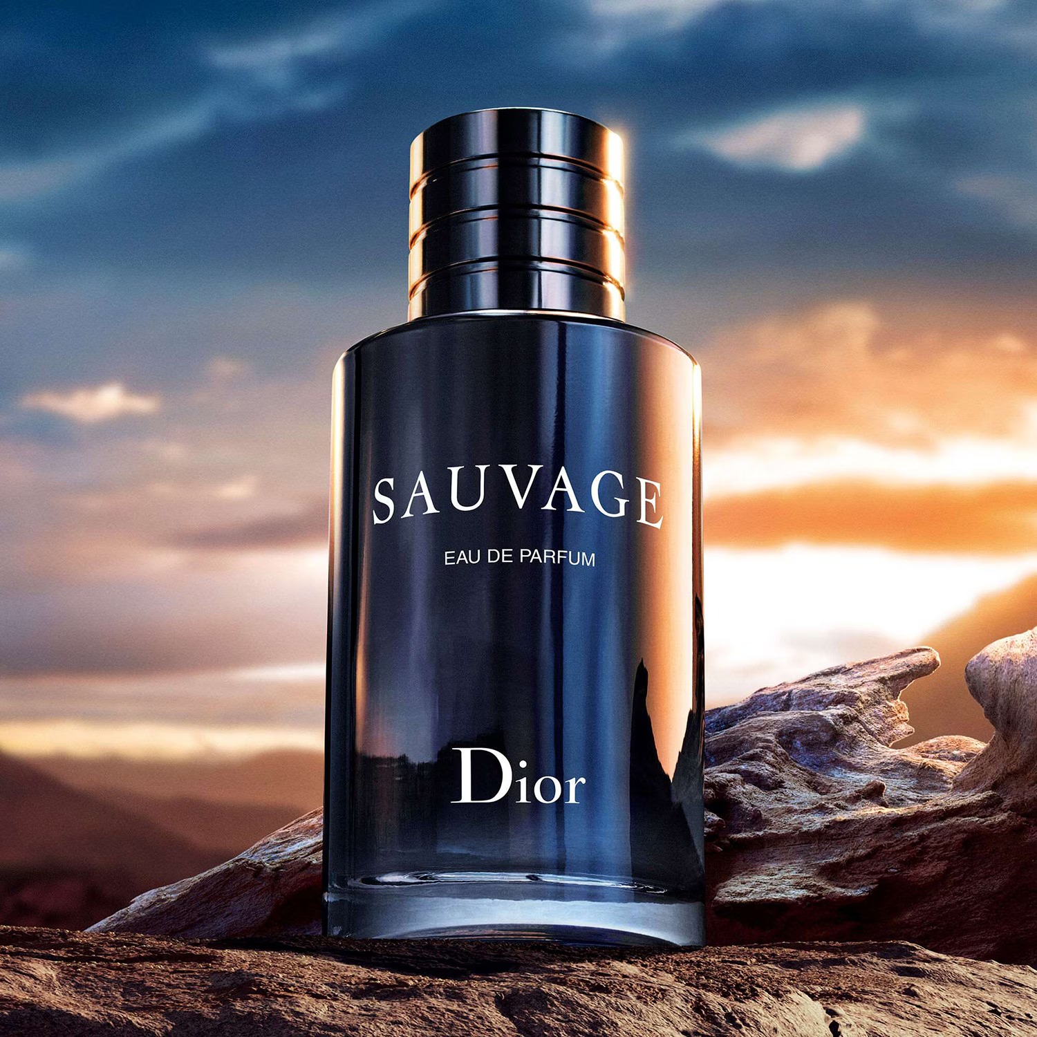 SAUVAGE