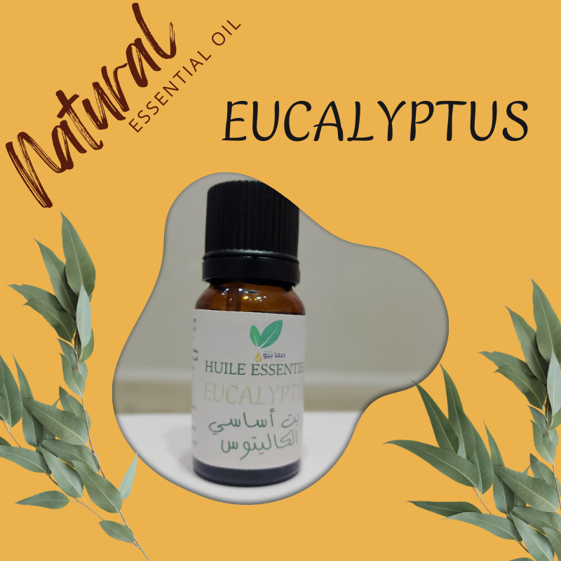 Huile Essentielle d’Eucalyptus Radié Pure et 100% naturel (10ml)