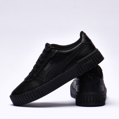 Puma carina 2.0