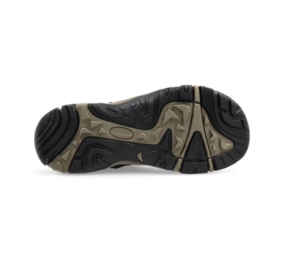 Sandal Shaol Bay Sea Turtle-Taupe