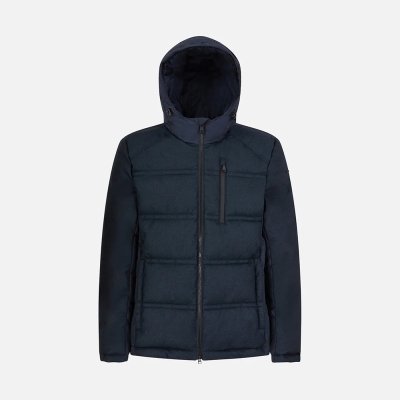Veste GEOX HOMME