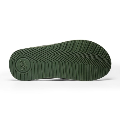 MYLTA OLIVE