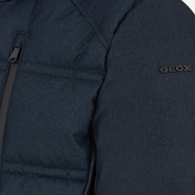 Veste GEOX HOMME