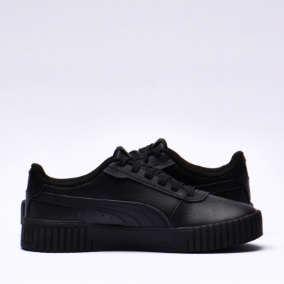 Puma carina 2.0