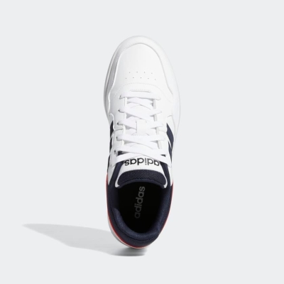 HOOPS 3.0