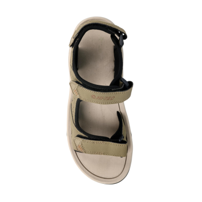 Atlas Adventure Sea Turtle-Apple Cinnamon