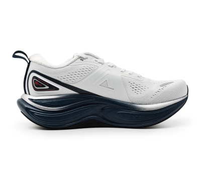 Peak Taichi Sports Shoes 