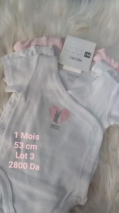 Lot 3 des bodies MC