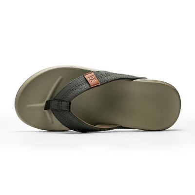 MYLTA OLIVE
