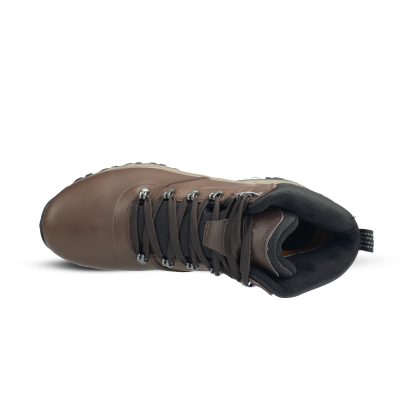 Altitude VII WP I