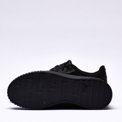 Puma carina 2.0