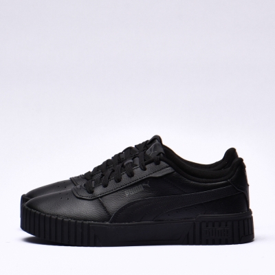 Puma carina 2.0