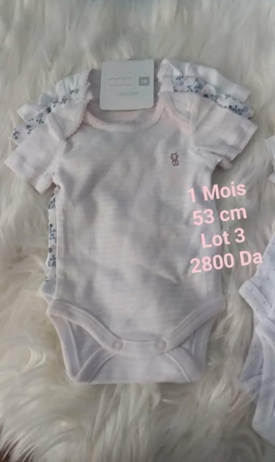 Lot 3 des bodies MC 